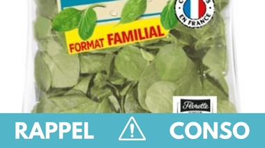 Listeria : ne consommez pas ces salades en sachet