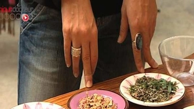 Plantes et digestion