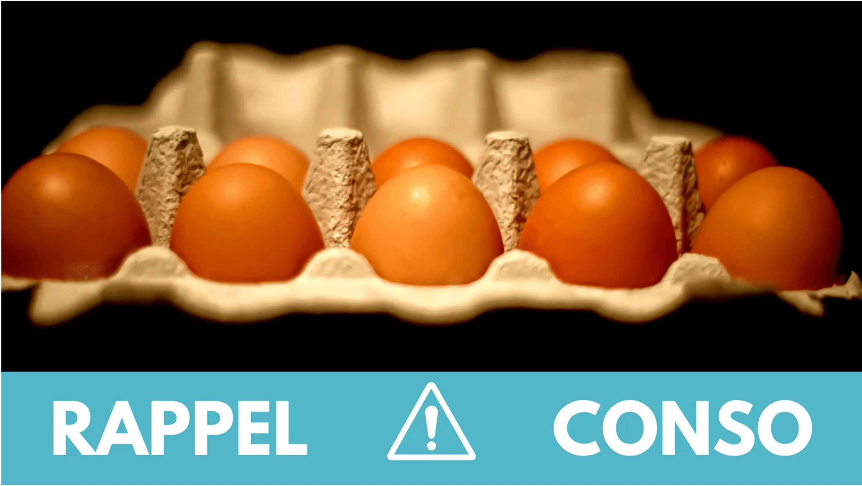 Rappel conso : oeufs