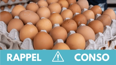 Rappel conso : oeufs