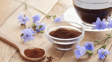 Quels sont les bienfaits de la chicorée ?