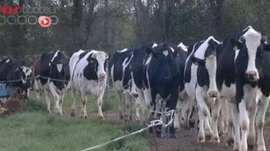 OGM : « Le débat d’un point de vue sanitaire est clos »
