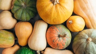 Quels sont les bienfaits des courges ?