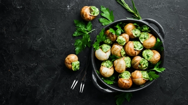 bienfaits des escargots