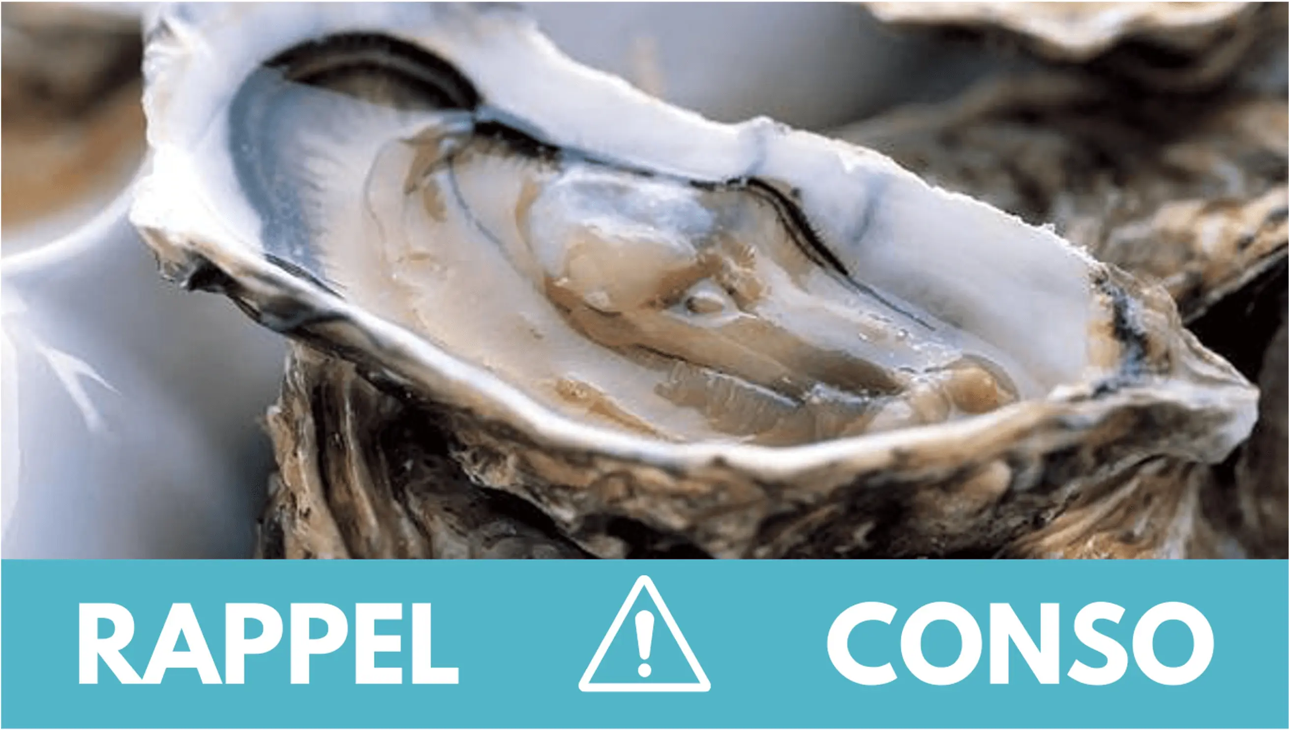 Rappel conso : huitres