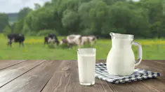 Quels sont les bienfaits du lait ? 