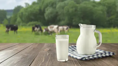 Quels sont les bienfaits du lait ? 