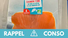 Rappel conso saumon fumé