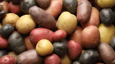 Quels sont les bienfaits des pomme de terres ?