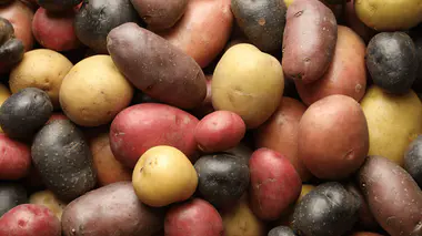 Quels sont les bienfaits des pomme de terres ?