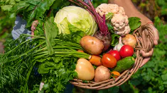 Quels sont les fruits et légumes de saison en mars ?