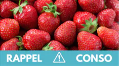 Rappel produit : ne consommez pas ces fraises vendues partout en France