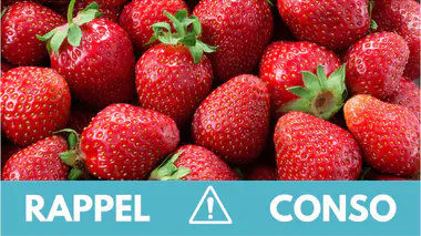 Rappel produit : ne consommez pas ces fraises vendues partout en France