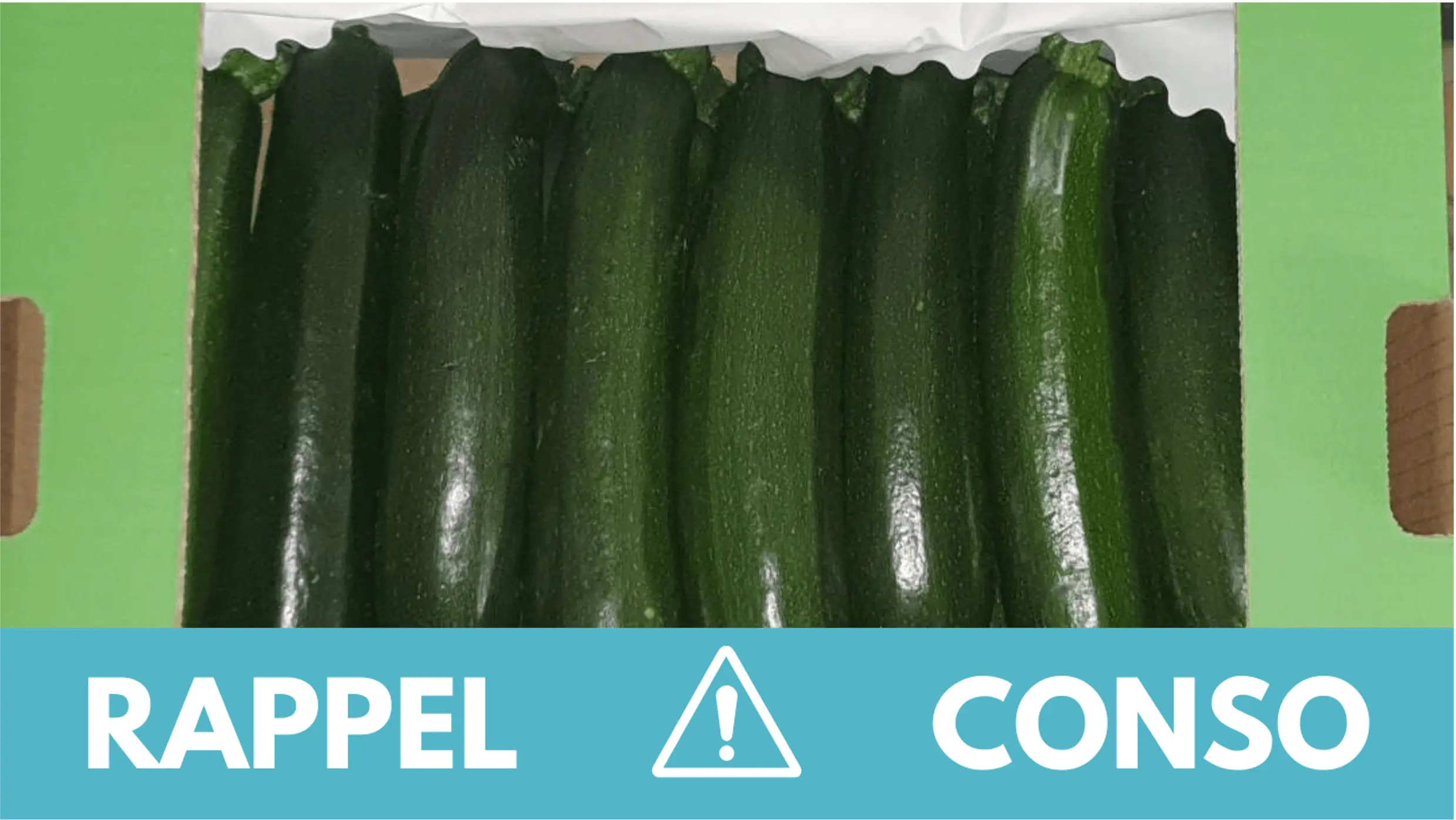 courgettes-rappel.jpg