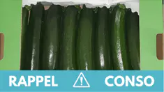 Pesticides : ces courgettes font l'objet d'un rappel dans toute la France