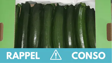 Pesticides : ces courgettes font l'objet d'un rappel dans toute la France