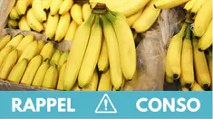 Pesticides : ne consommez pas ces bananes vendues partout en France