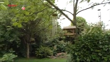 Bébés nés sous X : le temps des nourrices