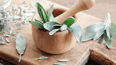 shutterstock_2585537039.jpg