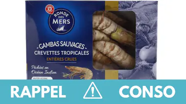 Bactéries Vibrio et Listeria : des gambas et crevettes rappelées dans toute la France