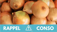rappel-oignons.jpg
