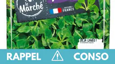 Salmonelles : de nombreuses salades en sachet contaminées, ce qu'il faut savoir