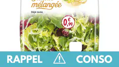 Larves, insectes : voici pourquoi vous ne devez pas consommer cette salade en sachet