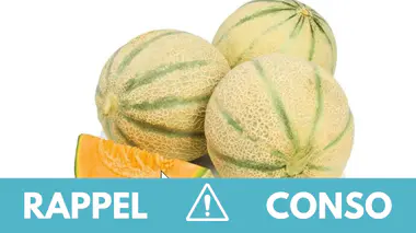 Rappel produit : ne consommez pas ces melons