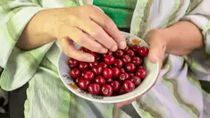 Comment savoir si je suis allergique aux cerises ?
