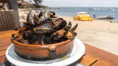 Quels sont les bienfaits des moules ?