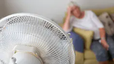 shutterstock_2179726515.jpg