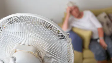 shutterstock_2179726515.jpg