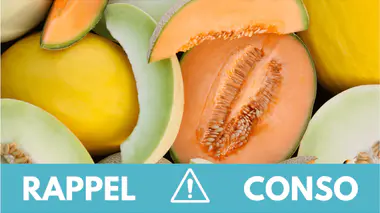 melons.jpg