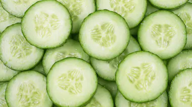 shutterstock_2502398949.jpg