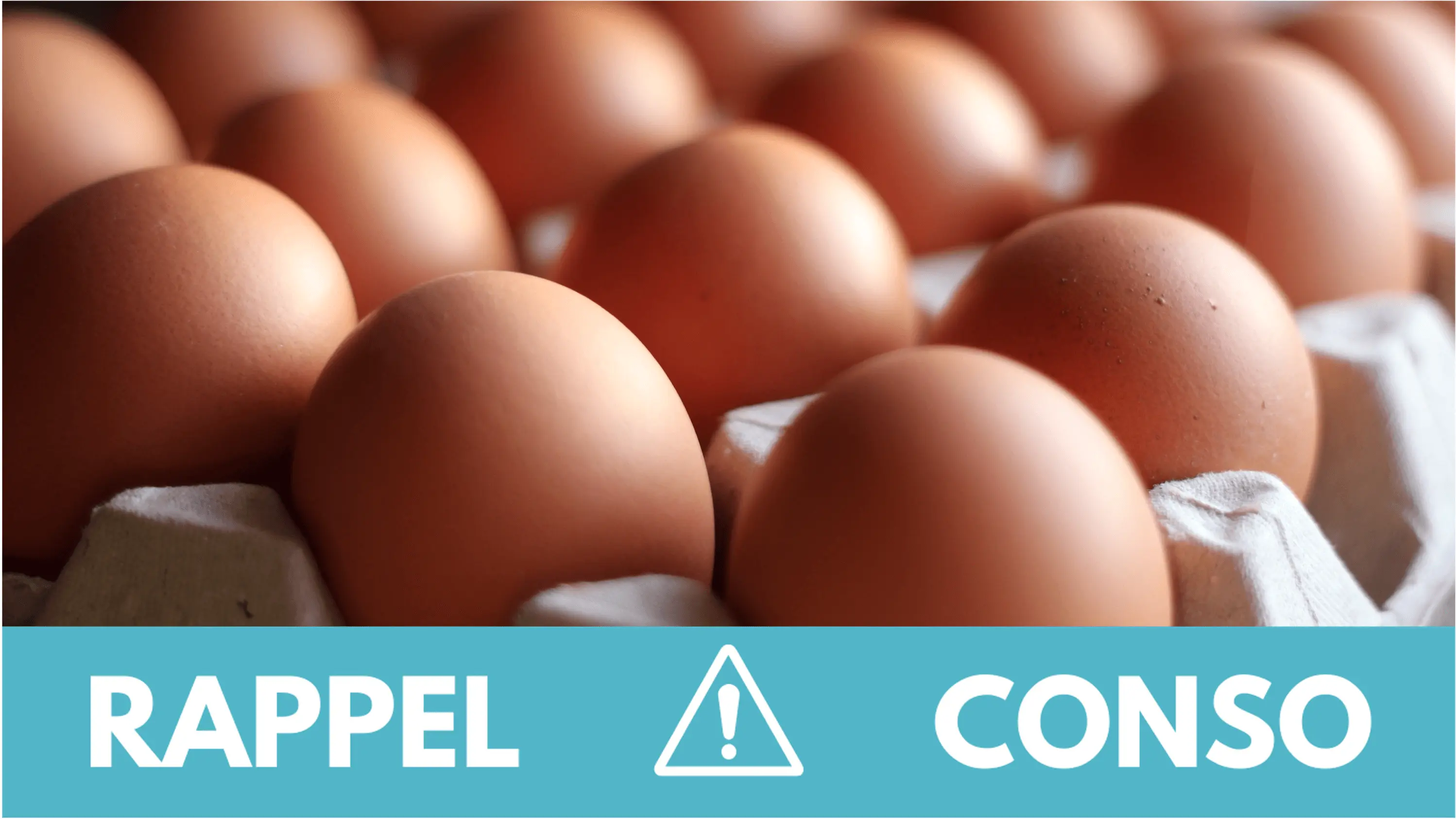 rappel-oeufs.jpg