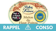 rappel melon.jpg