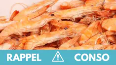 Ce qu'il faut savoir sur le vaste rappel de crevettes cuites et crues contaminées par des Listeria