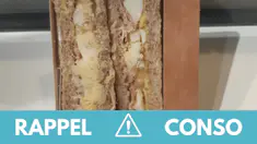 Listeria : attention à ce sandwich vendu partout en France !