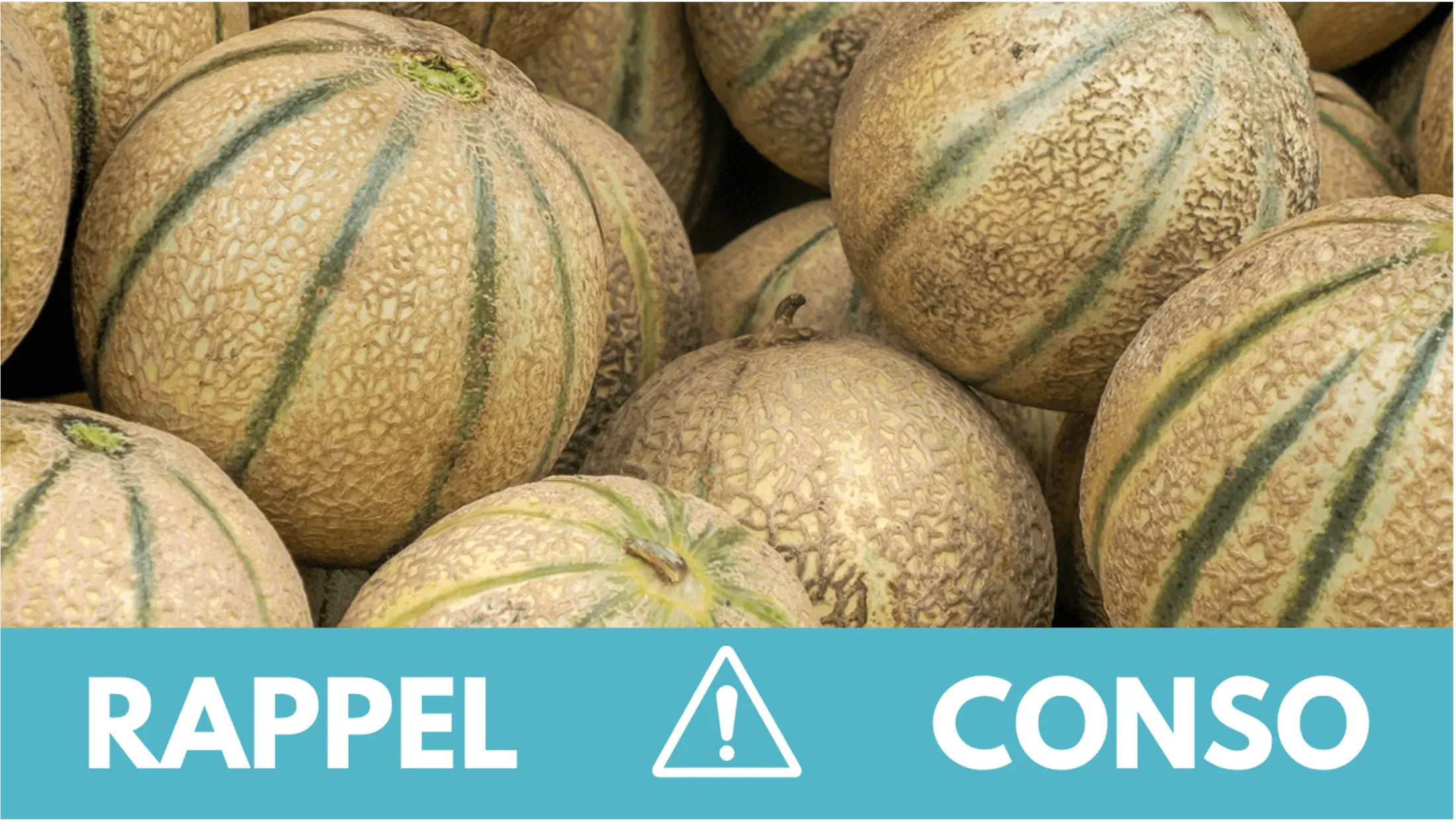 rappel.melons.jpg