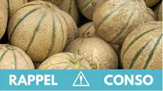 rappel.melons.jpg