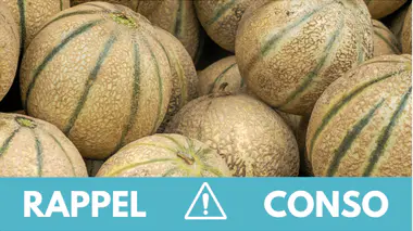 rappel.melons.jpg