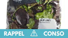 Salmonelles : ne consommez pas cette salade en sachet vendue dans toute la France