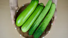 shutterstock_2383400671.jpg