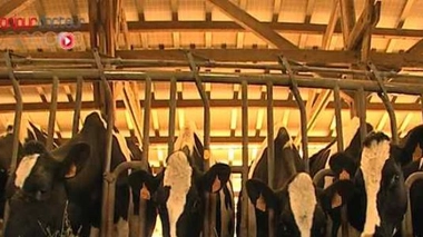 Etats-Unis : moins d’antibiotiques dans les assiettes