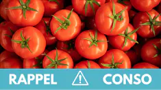 rappel-tomates.jpg