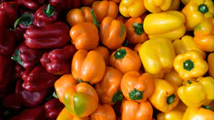shutterstock_2561714159.jpg