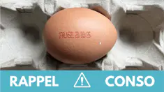 rappel-oeufs.jpg
