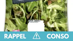 Salmonelles : ne consommez pas cette salade en sachet contaminée !