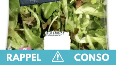 Salmonelles : ne consommez pas cette salade en sachet contaminée !