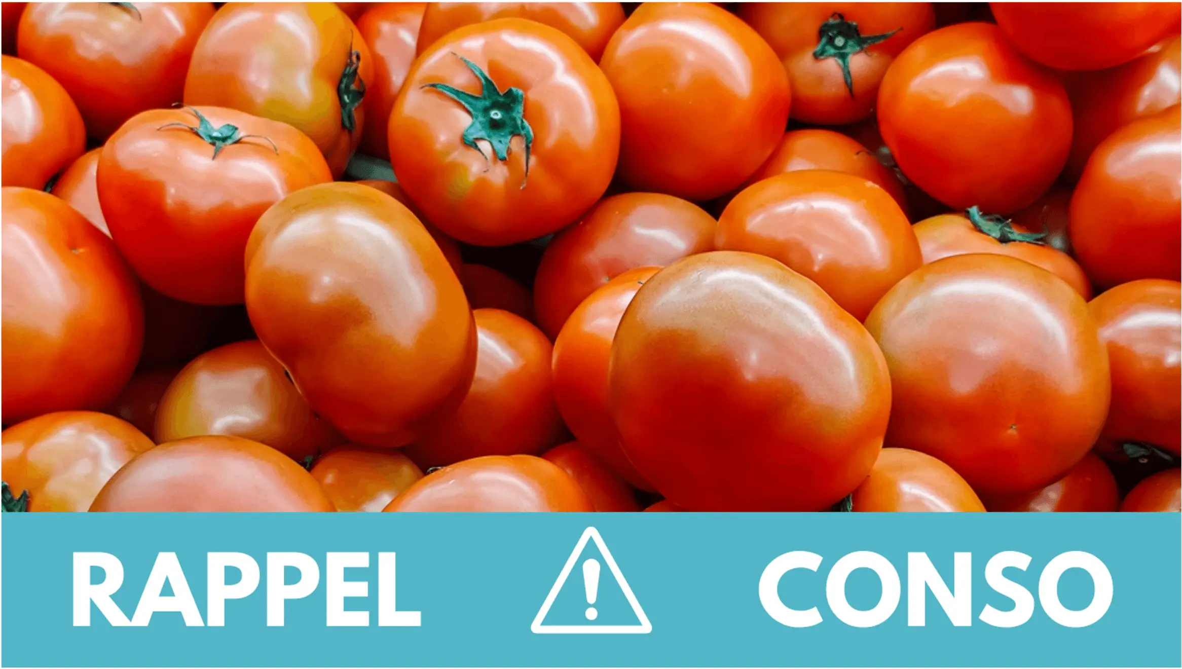rappel-tomates.jpg